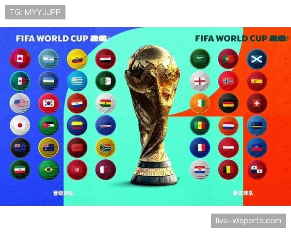2026世界杯官方席位排序详解